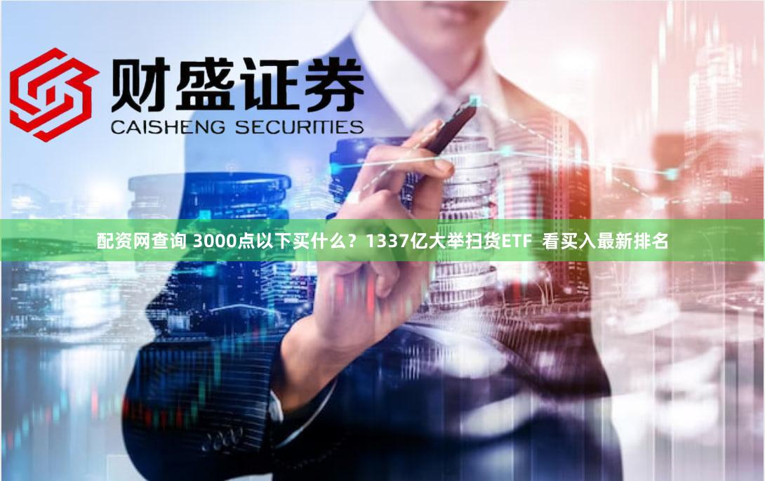 配资网查询 3000点以下买什么？1337亿大举扫货ETF  看买入最新排名