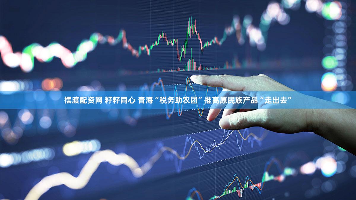 摆渡配资网 籽籽同心 青海“税务助农团”推高原民族产品“走出去”