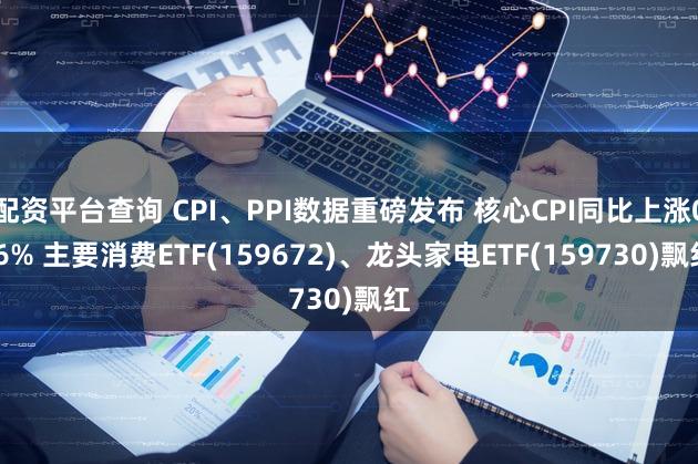 配资平台查询 CPI、PPI数据重磅发布 核心CPI同比上涨0.6% 主要消费ETF(159672)、龙头家电ETF(159730)飘红