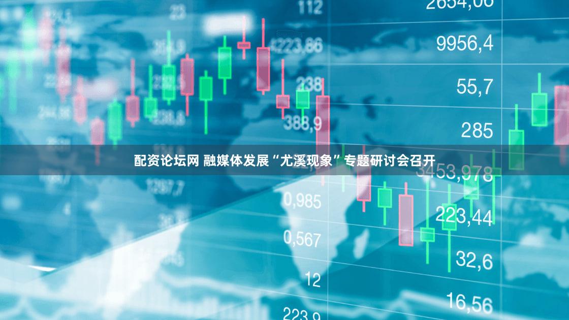 配资论坛网 融媒体发展“尤溪现象”专题研讨会召开