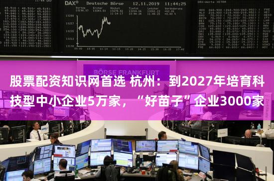 股票配资知识网首选 杭州:到2027年培育科技型中小企业5万家,“好苗子”企业3000家
