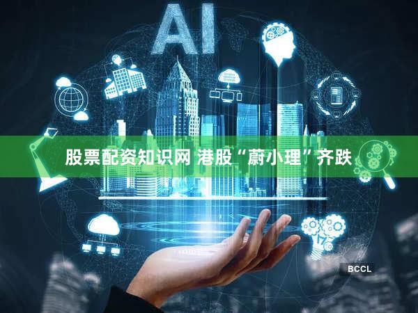股票配资知识网 港股“蔚小理”齐跌